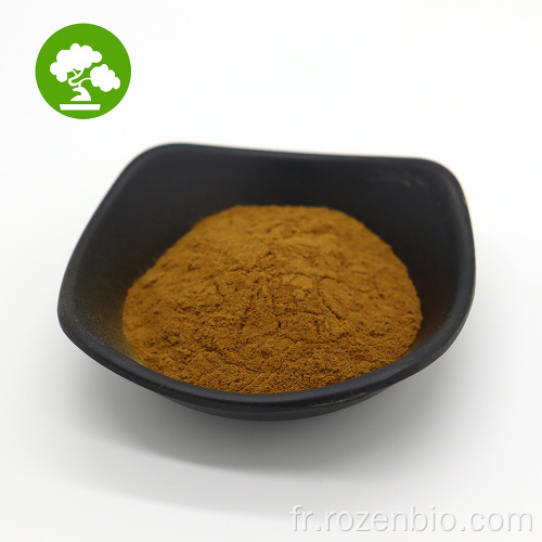 Extrait de maca noire de poudre naturelle biologique en gros